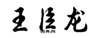 胡問遂王臣龍行書個性簽名怎么寫