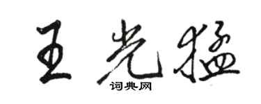 駱恆光王光猛行書個性簽名怎么寫
