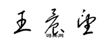 梁錦英王晨望草書個性簽名怎么寫