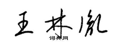 梁錦英王林胤草書個性簽名怎么寫