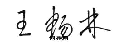 駱恆光王暢林草書個性簽名怎么寫