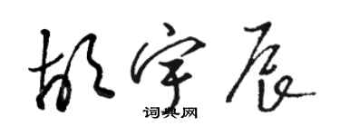 駱恆光胡宇辰草書個性簽名怎么寫