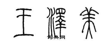 陳墨王澤美篆書個性簽名怎么寫