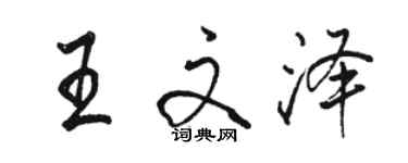 駱恆光王文澤行書個性簽名怎么寫