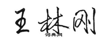 駱恆光王林剛行書個性簽名怎么寫
