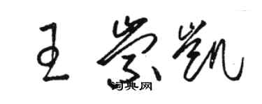 駱恆光王崇凱草書個性簽名怎么寫