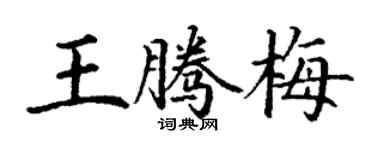 丁謙王騰梅楷書個性簽名怎么寫
