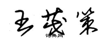 朱錫榮王茂策草書個性簽名怎么寫