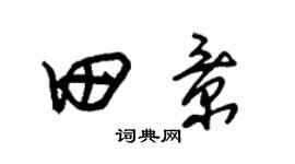 朱錫榮田景草書個性簽名怎么寫