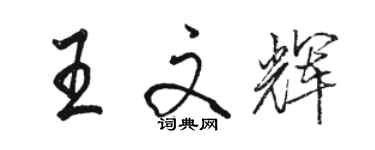 駱恆光王文輝行書個性簽名怎么寫