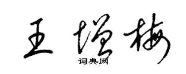 梁錦英王增梅草書個性簽名怎么寫