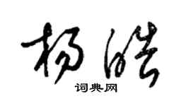 梁錦英楊皓草書個性簽名怎么寫