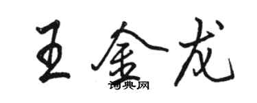 駱恆光王金龍行書個性簽名怎么寫