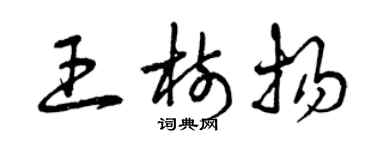 曾慶福王樹揚草書個性簽名怎么寫