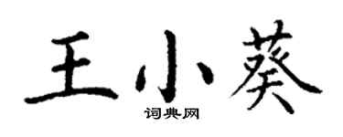 丁謙王小葵楷書個性簽名怎么寫