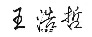 駱恆光王浩哲行書個性簽名怎么寫