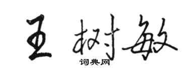 駱恆光王樹敏行書個性簽名怎么寫