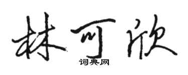 駱恆光林可欣行書個性簽名怎么寫