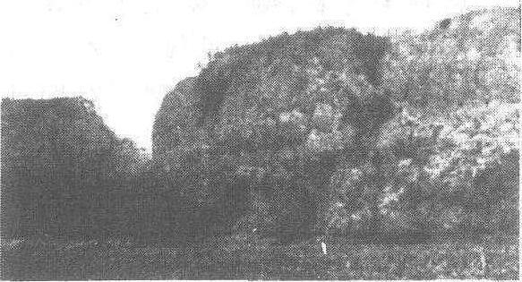 漢魏洛陽故城_漢魏洛陽故城介紹_歷史知識