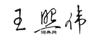 駱恆光王照偉草書個性簽名怎么寫