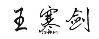 駱恆光王寒劍行書個性簽名怎么寫