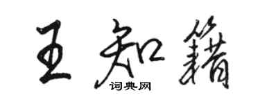 駱恆光王知籍行書個性簽名怎么寫