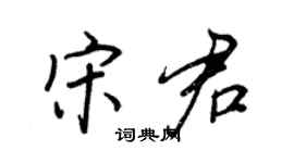 王正良宋君行書個性簽名怎么寫