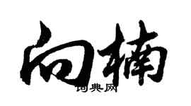 胡問遂向楠行書個性簽名怎么寫