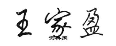 駱恆光王家盈行書個性簽名怎么寫