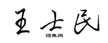 駱恆光王士民行書個性簽名怎么寫
