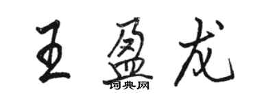 駱恆光王盈龍行書個性簽名怎么寫