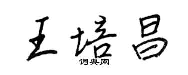 王正良王培昌行書個性簽名怎么寫