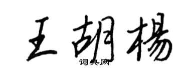 王正良王胡楊行書個性簽名怎么寫