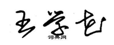 朱錫榮王學花草書個性簽名怎么寫