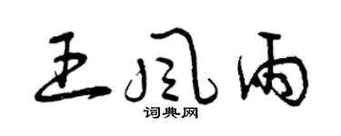 曾慶福王風雨草書個性簽名怎么寫
