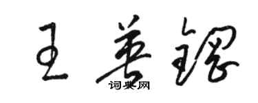 駱恆光王英鋼草書個性簽名怎么寫