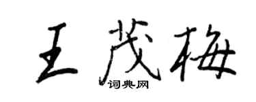 王正良王茂梅行書個性簽名怎么寫
