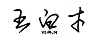 朱錫榮王白才草書個性簽名怎么寫