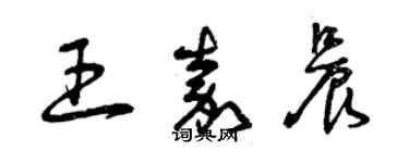 曾慶福王嘉晨草書個性簽名怎么寫