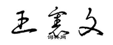 曾慶福王憲文草書個性簽名怎么寫