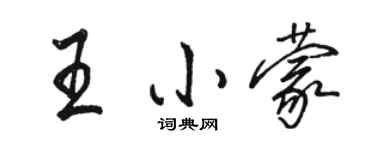 駱恆光王小蒙行書個性簽名怎么寫