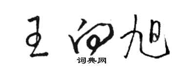 駱恆光王向旭草書個性簽名怎么寫