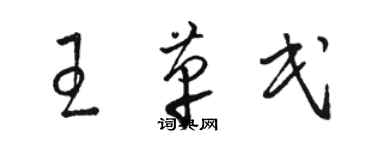 駱恆光王革民草書個性簽名怎么寫