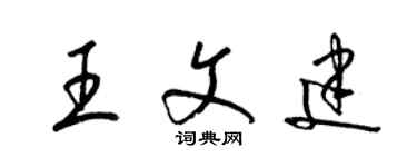 梁錦英王文建草書個性簽名怎么寫