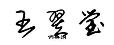 朱錫榮王翌瑩草書個性簽名怎么寫