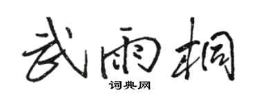 駱恆光武雨桐行書個性簽名怎么寫