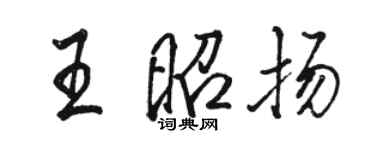 駱恆光王昭揚行書個性簽名怎么寫