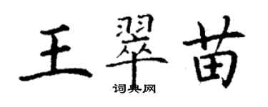 丁謙王翠苗楷書個性簽名怎么寫