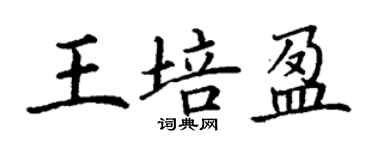 丁謙王培盈楷書個性簽名怎么寫