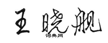 駱恆光王曉艦行書個性簽名怎么寫